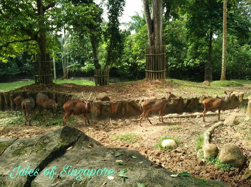 Taiping Zoo